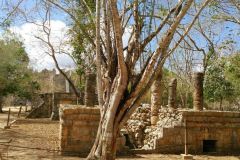Sito-Megalitico-Maya-Chichen-Itza-Yucatan-Messico-24