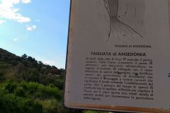 Cosa-Mura-Megalitiche-Ansedonia-Grosseto-Toscana-Italia-103