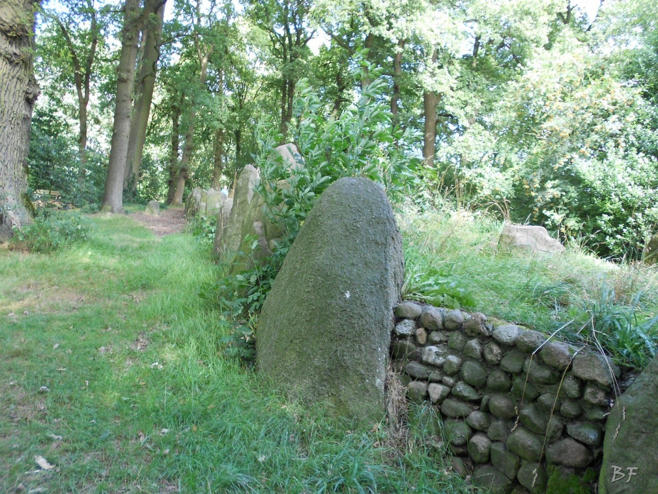 Hunebedden-Dolmen-Megaliti-Groeningen-Drenthe-Paesi-Bassi-3
