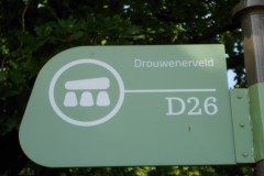 Hunebedden-Dolmen-Megaliti-Groeningen-Drenthe-Paesi-Bassi-46