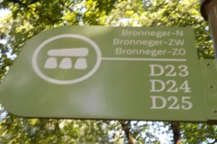Hunebedden-Dolmen-Megaliti-Groeningen-Drenthe-Paesi-Bassi-56