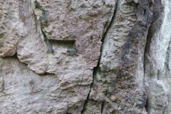 Externsteine-Insediamento-Rupestre-Megaliti-Nord-Renania-Vestfalia-Germania-1