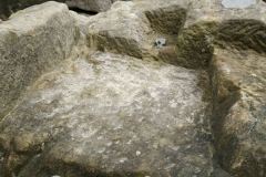 Externsteine-Insediamento-Rupestre-Megaliti-Nord-Renania-Vestfalia-Germania-36