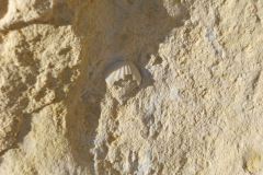 Ggantija-Tempio-Megalitico-Gozo-Malta-36