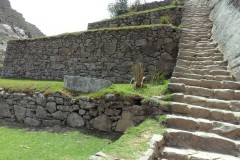 Mura-Poligonali-Incisioni-Altari-Edifici-Rupestri-Megaliti-Machu-Picchu-Aguas-Calientes-Urubamba-Cusco-Perù-144