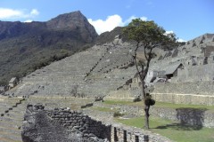 Mura-Poligonali-Incisioni-Altari-Edifici-Rupestri-Megaliti-Machu-Picchu-Aguas-Calientes-Urubamba-Cusco-Perù-42