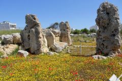 Skorba-Tempio-Megalitico-Mgarr-Malta-8