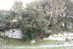 Sant-Erasmo-di-Cesi-Terrazzamento-Poligonale-Megalitico-Terni-Umbria-Italia-19