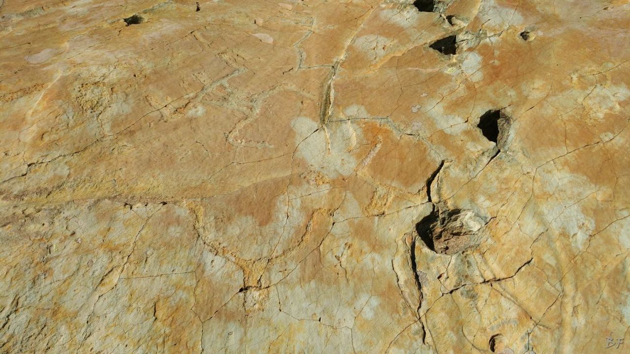 Valle-delle-Meraviglie-Incisioni-rupestri-Tenda-Alpi-Marittime-Francia-48