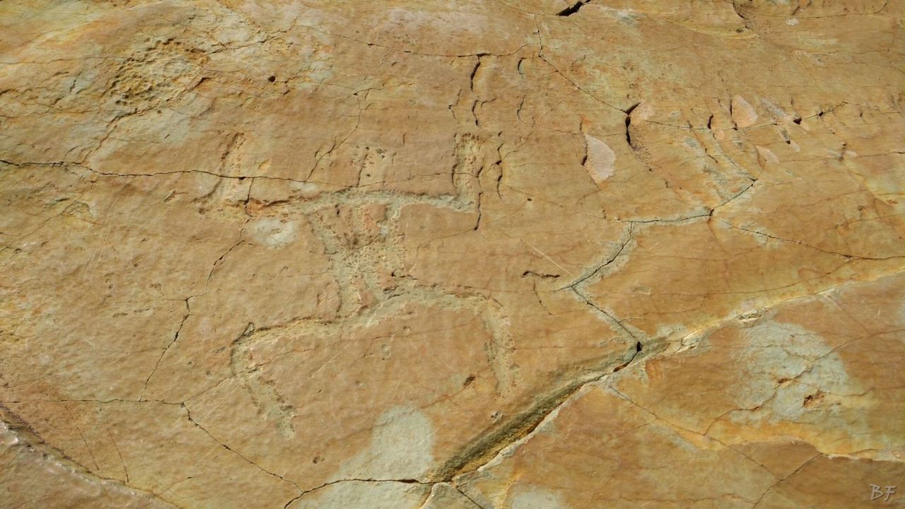 Valle-delle-Meraviglie-Incisioni-rupestri-Tenda-Alpi-Marittime-Francia-51