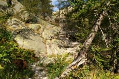 Valle-delle-Meraviglie-Incisioni-rupestri-Tenda-Alpi-Marittime-Francia-18