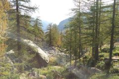 Valle-delle-Meraviglie-Incisioni-rupestri-Tenda-Alpi-Marittime-Francia-20
