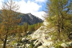 Valle-delle-Meraviglie-Incisioni-rupestri-Tenda-Alpi-Marittime-Francia-22