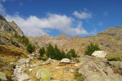 Valle-delle-Meraviglie-Incisioni-rupestri-Tenda-Alpi-Marittime-Francia-39