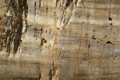 Valle-delle-Meraviglie-Incisioni-rupestri-Tenda-Alpi-Marittime-Francia-67